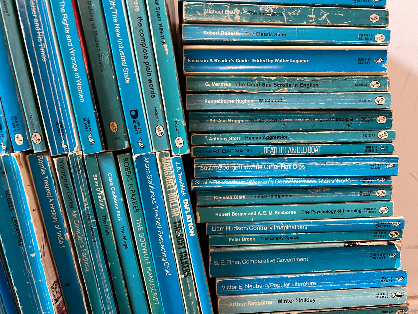 50 Blue Penguin Vintage Books